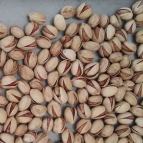 پسته فندقی یکدست رفسنجان + گزینه ای اقتصادی برای خرید عمده